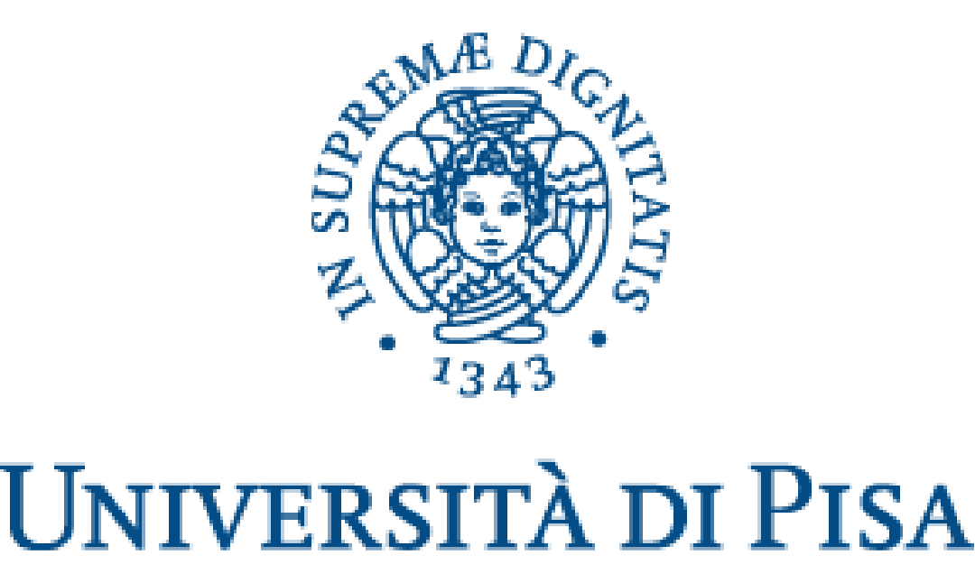 University of Pisa