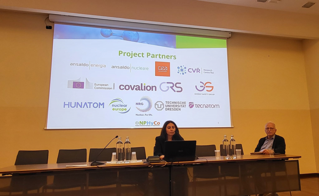 image TANDEM presented at SNETP Forum