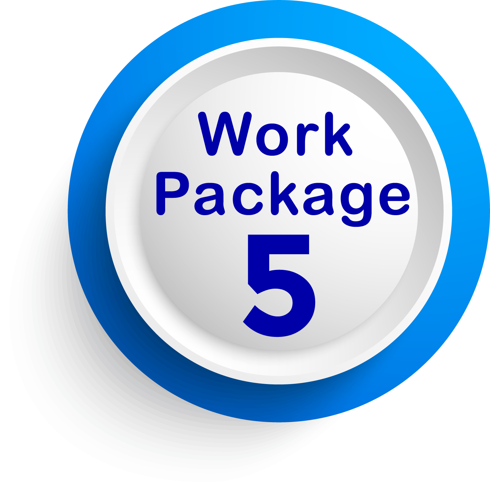 WP5